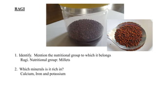 RAGI
1. Identify. Mention the nutritional group to which it belongs
Ragi. Nutritional group: Millets
2. Which minerals is it rich in?
Calcium, Iron and potassium
 