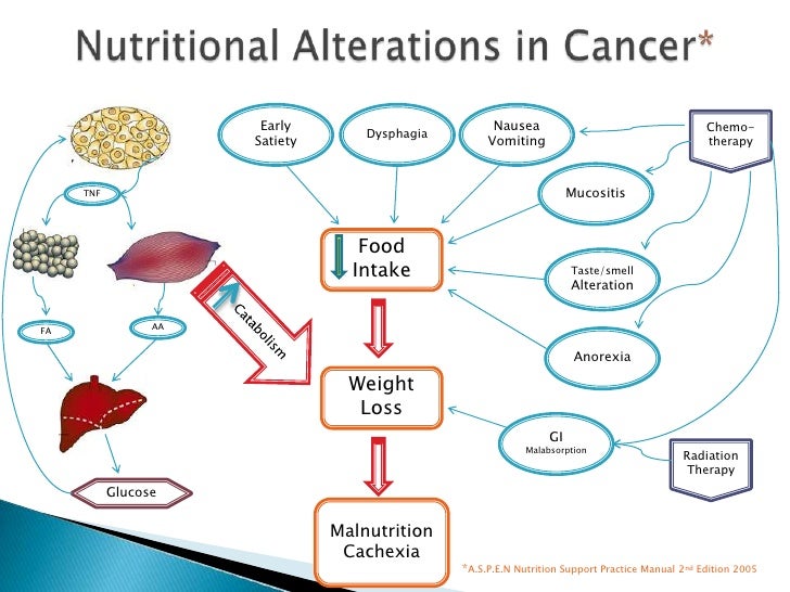 Nutrition Support In Cancer