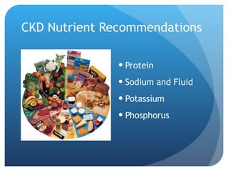 CKD Nutrient Recommendations Protein Sodium and Fluid Potassium Phosphorus 
