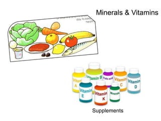 Supplements
Minerals & Vitamins
 