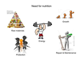 Need for nutrition
Growth
Repair & Maintenance
Raw materials
Protection
Energy
 
