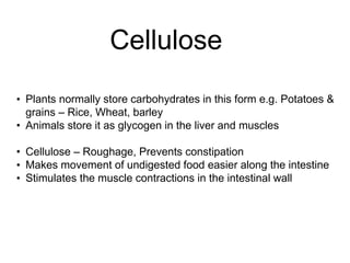 Cellulose
• Plants normally store carbohydrates in this form e.g. Potatoes &
grains – Rice, Wheat, barley
• Animals store it as glycogen in the liver and muscles
• Cellulose – Roughage, Prevents constipation
• Makes movement of undigested food easier along the intestine
• Stimulates the muscle contractions in the intestinal wall
 