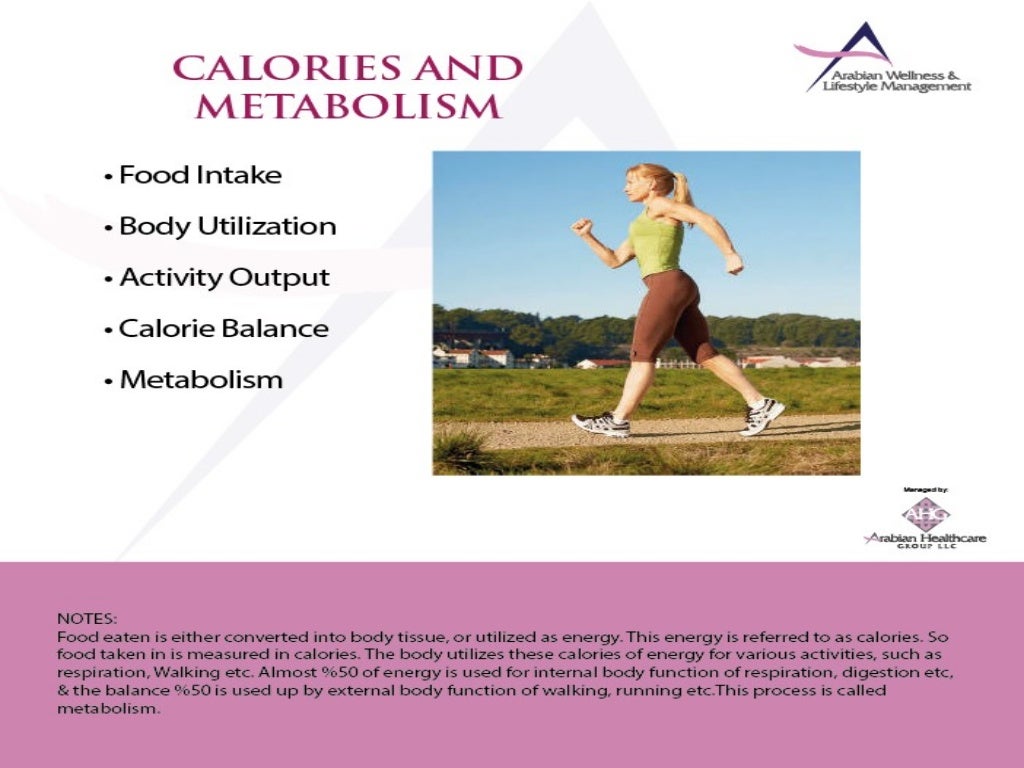 Nutrition & Weight Management