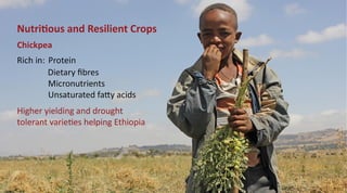 Nutritious and resilient crops