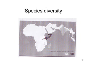 12 
Species diversity 
 