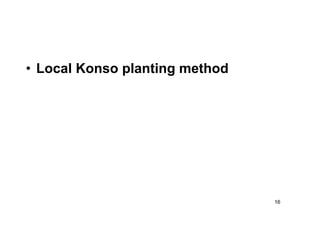 16 
• Local Konso planting method 
 
