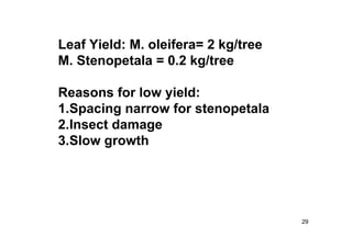29 
Leaf Yield: M. oleifera= 2 kg/tree 
M. Stenopetala = 0.2 kg/tree 
Reasons for low yield: 
1.Spacing narrow for stenopetala 
2.Insect damage 
3.Slow growth 
 