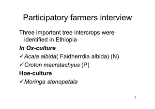 3 
Participatory farmers interview 
Three important tree intercrops were 
identified in Ethiopia 
In Ox-culture 
Acaia albida( Faidherrdia albida) (N) 
Croton macrstachyus (P) 
Hoe-culture 
Moringa stenopetala 
 