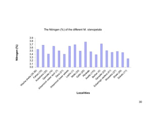 30 
The Nitrogen (%) of the different M. stenopetala 
3.9 
3.8 
3.7 
3.6 
3.5 
3.4 
3.3 
3.2 
3.1 
3.0 
Wacha shella (35-36) 
Fahsa (15) 
Kolashara (32) 
Dera (21) 
Arbaminch lower sekela 
Gamolle (14) 
Arbaminch water tech (7) 
Gatto (25) 
Lasho (1) 
Molle (33) 
Berber (4) 
Gersalle (23) 
Exbaringo oleifera (41) 
PkmIndia 
Aselle (170) 
Shele (29) 
Dokatu (11) 
Wosseka (27) 
Localities 
Nitrogen (%) 
 