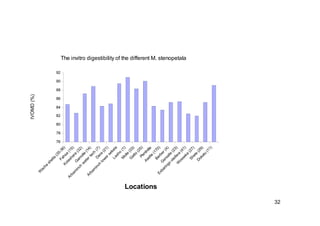 32 
The invitro digestibility of the different M. stenopetala 
92 
90 
88 
86 
84 
82 
80 
78 
76 
Wacha shella (35-36) 
Fahsa (15) 
Kolashara (32) 
Dera (21) 
Arbaminch lower sekela 
Gamolle (14) 
Arbaminch water tech (7) 
Gatto (25) 
Lasho (1) 
Molle (33) 
Berber (4) 
Gersalle (23) 
Exbaringo oleifera (41) 
PkmIndia 
Aselle (170) 
Shele (29) 
Dokatu (11) 
Wosseka (27) 
Locations 
IVOMD (%) 
 