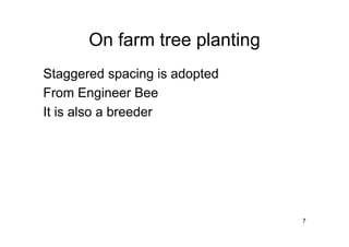 7 
On farm tree planting 
Staggered spacing is adopted 
From Engineer Bee 
It is also a breeder 
 