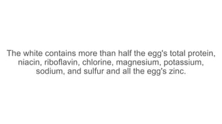 The white contains more than half the egg's total protein,
niacin, riboflavin, chlorine, magnesium, potassium,
sodium, and sulfur and all the egg's zinc.
 