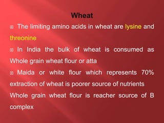 The limiting amino acids in wheat are lysine and
threonine
 In India the bulk of wheat is consumed as
Whole grain wheat flour or atta
 Maida or white flour which represents 70%
extraction of wheat is poorer source of nutrients
Whole grain wheat flour is reacher source of B
complex
 