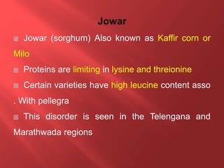  Jowar (sorghum) Also known as Kaffir corn or
Milo
 Proteins are limiting in lysine and threionine
 Certain varieties have high leucine content asso
. With pellegra
 This disorder is seen in the Telengana and
Marathwada regions
 