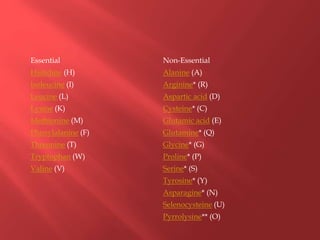 Essential Non-Essential
Histidine (H) Alanine (A)
Isoleucine (I) Arginine* (R)
Leucine (L) Aspartic acid (D)
Lysine (K) Cysteine* (C)
Methionine (M) Glutamic acid (E)
Phenylalanine (F) Glutamine* (Q)
Threonine (T) Glycine* (G)
Tryptophan (W) Proline* (P)
Valine (V) Serine* (S)
Tyrosine* (Y)
Asparagine* (N)
Selenocysteine (U)
Pyrrolysine** (O)
 
