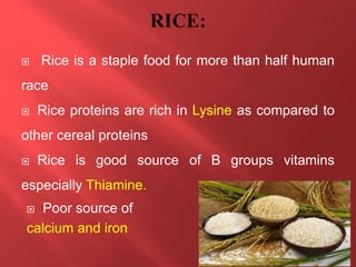  Rice is a staple food for more than half human
race
 Rice proteins are rich in Lysine as compared to
other cereal proteins
 Rice is good source of B groups vitamins
especially Thiamine.
 Poor source of
calcium and iron
 