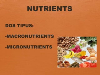NUTRIENTS
DOS TIPUS:
-MACRONUTRIENTS
-MICRONUTRIENTS
 