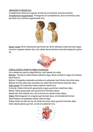 ARNAZKETA PROZESUA
Arnasketaren helburua oxigenoa lortzea da eta karbono dioxidoa botatea.
Arnasketaren mogimenduak: Arnasgorea eta arnasbeherea. Gure birikietara airea
sartzeko eta urteteko mogimenduak dira.
Gasen trukea: Biriki albeoloetan gertatzen da. Biriki albeoloen bidez hartzen dogun
airearen oxigenoa odolera doa, eta odolak daroan karbono dioxidoa kanporatu egiten
da.
ZIRKULAZINO APARATUAREN OSOGAIAK
Hiru elementuz osotuta dago:Bihotza, odol basoak eta odola.
Bihotza: Toraxaren ezkerraldean kokatuta dago. Goian aurikula bi dagoz eta behean
bentrikulu bi.
Balbula trikuspidea eskumako aurikulea eta eskumako bentrikulua bereizten dauz.
Balbula mitrala ezkerreko aurikulea eta ezkerreko bentrikulua banatzen dauz.
Odol basoak: Era askotako lodiera daukien hodiak dira.
Arteriak: Odola bihotzetik gorputzeko organo guztietara zabaltzen dabe.
Benek: Odola gorputzeko atal guztietatik bihotzera daroe.
Kapilarrak: Oso meheak dira, eta arteriak eta zainak lotzen dabez.
Odola: Mantenugaiak eta oxigenoa garraiatzen dauz, eta hondakinak batzen
dauz.Plasmaz eta plasmako zelulez osotuta dago.
Plasma likido horizka bat da eta likido horretan zelula guztiak flotatzen dabe.
Odol zelulak globulu gorriak, zuriak eta plaketak dira.
 