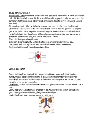ODOL ZIRKULAZINOA
Zirkukazino txikia bihotzetik birikietara doa. Eskumako bentrikulutik biriki arteriaren
bidez birikietara heltzen da. Biriki benen bidez odol oxigenatua bihotzaren ezkerreko
aurikulara heltzen da, gero ezkerreko bentrikulura doa eta hortik zirkulazio nagusia
hasten da.
Zirkulazio nagusia Bihotzetik beste organoetara doa eta bihotzera itzultzen da.
Ezkerreko bentrikulutik aorta arteriaren bidez urteten dau eta gorputzeko organo
guztietan banatzen da oxigenoa eta mantenugaiak izteko eta karbono dioxidoa eta
hondakinak jasoteko. Kaba benen bidez eskumako aurikulara itzultzen da eta gero
eskumako bentrikulura doa, eta hortik zirkulazio txikira.
Bihotzak bi mogimendu egiten dauz:
Sistolean, bihotza uzkurtu egiten da eta odola arterietara bultzatzen dau.
Diastolean, erlaxatu egiten da, eta bertatik datorren odolez beteten da.
Mogimendu bi horreek taupadea osotzen dabe.
GERNU SISTEMA
Gernu sistemeak gure zelulek sortutako hondakin ez- gaseosoak egozten dauz.
Kuntzurrunak: Baba formako organo bi dira, organismoarentzat toxikoak diran
hondakinak erauzteko. Kuntzurrunek substantzia horreek gordeten dabez eta, urez
nahastuta, gernua sortzen dabe.
Ureterrak: Gernua kuntzurrunetatik hartu eta gernu maskurira eroaten daben hodi bi
dira.
Gernu maskuria: Zaku formako organo bat da. Maskuriak litro lauren gernu baino
gehitxoago gordeten dauanean, pixagurea izaten dogu.
Uretra hodiaren bidez, gernua kanporatu egiten da.
 