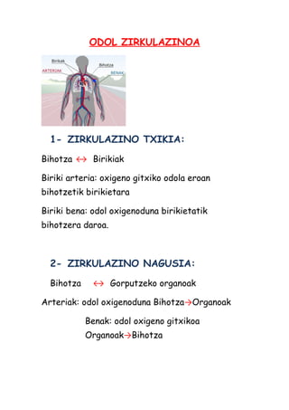 ODOL ZIRKULAZINOA

1- ZIRKULAZINO TXIKIA:
Bihotza ↔ Birikiak
Biriki arteria: oxigeno gitxiko odola eroan
bihotzetik birikietara
Biriki bena: odol oxigenoduna birikietatik
bihotzera daroa.

2- ZIRKULAZINO NAGUSIA:
Bihotza

↔ Gorputzeko organoak

Arteriak: odol oxigenoduna Bihotza→Organoak
Benak: odol oxigeno gitxikoa
Organoak→Bihotza

 