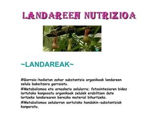 la nd ar een nu tr iz io a




~LANDAREAK~

#Garraio-hodietan zehar substantzia organikoak landareen
zelula bakoitzera garraiatu.
#Metabolismoa eta arnasketa zelularra; fotosintesiaren bidez
lortutako konposatu organikoak zelulek erabiltzen dute
lortzeko landarearen berezko material bihurtzeko.
#Metabolismoa zelularran sortutako hondakin-substantziak
kanporatu.
 