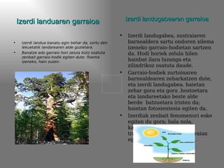 Izerdi landuaren garraioa                            Izerdi landugabearen garraioa

                                                     •   Izerdi landugabea, sustraiaren
•    Izerdi landua banatu egin behar da, sortu den       barnealdera sartu ondoren xilema
     lekuetatik landarearen alde guzietara.              izeneko garraio-hodietan sartzen
•    Banatze edo garraio hori zelula biziz osatuta       da. Hodi horiek zelula hilen
     zenbait garraio-hodik egiten dute: floema
     izeneko, hain zuzen.                                hainbat ilara luzanga eta
                                                         zilindrikoz osatuta daude.
                                                     •   Garraio-hodiek zurtoinaren
                                                         barnealdearen zeharkatzen dute,
                                                         eta izerdi landugabea. haietan
                                                         zehar gora eta gora .hostoetara
                                                         eta landareetako beste alde
                                                         berde batzuetara iristen da;
                                                         haietan fotosientesia egiten da.
                                                     •   Izerdiak zenbait fenomenori eske
                                                         egiten du gora; hala nola,
                                                         kapilaritateari , hostoen
                                                         transpizioari eta urak sustraian
                                                         egiten duen presioari eske.
 
