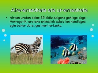 Aire-arnasketa eta ur-arnasketa
• Airean uretan baino 25 aldiz oxigeno gehiago dago.
  Horregatik, uretako animaliek askoz lan handiagoa
  egin behar dute, gas hori lortzeko.
 