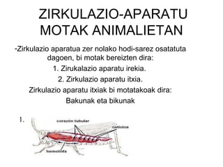 ZIRKULAZIO-APARATU
       MOTAK ANIMALIETAN
-Zirkulazio aparatua zer nolako hodi-sarez osatatuta
           dagoen, bi motak bereizten dira:
            1. Zirukalazio aparatu irekia.
              2. Zirkulazio aparatu itxia.
     Zirkulazio aparatu itxiak bi motatakoak dira:
                 Bakunak eta bikunak

 1.
 