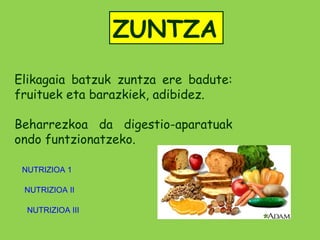 ZUNTZA
Elikagaia batzuk zuntza ere badute:
fruituek eta barazkiek, adibidez.

Beharrezkoa da digestio-aparatuak
ondo funtzionatzeko.

 NUTRIZIOA 1

 NUTRIZIOA II

  NUTRIZIOA III
 