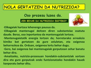 NOLA GERTATZEN DA NUTRIZIOA?

               Oso prozesu luzea da.
             ZER BEHAR DA NUTRIZIOA EGITEKO?

-Elikagaiak hartzea lehenengo pausua da.
-Elikagaiak mantenugai deitzen diren substantziaz osatuta
daude. Beraz, oso inportantea da mantenugaiak lortzea.
-Mantenugaietatik energia lortzen da; horretarako erreakzio
kimiko bat gertatzen da gure zeluletan, eta oxigenoa
beharrezkoa da. Orduan, oxigenoa lortu behar dugu.
-Gero, bai oxigenoa bai mantenugaiak gorputzean zehar banatu
behar dira.
-Amaitzeko, nutrizio-prozesuan hondakin-substantziak sortzen
dira eta gure gorputzak ondo funtzionatzeko hondakin hauek
kanporatu behar ditu.
 