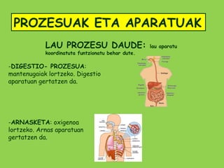 PROZESUAK ETA APARATUAK
            LAU PROZESU DAUDE:                     lau aparatu
            koordinatuta funtzionatu behar dute.

-DIGESTIO- PROZESUA:
mantenugaiak lortzeko. Digestio
aparatuan gertatzen da.




-ARNASKETA: oxigenoa
lortzeko. Arnas aparatuan
gertatzen da.
 