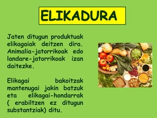 Jaten ditugun produktuak
elikagaiak deitzen dira.
Animalia-jatorrikoak edo
landare-jatorrikoak izan
daitezke.

Elikagai        bakoitzak
mantenugai jakin batzuk
eta    elikagai-hondarrak
( erabiltzen ez ditugun
substantziak) ditu.
 