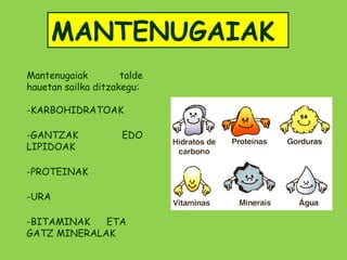 MANTENUGAIAK
Mantenugaiak         talde
hauetan sailka ditzakegu:

-KARBOHIDRATOAK

-GANTZAK             EDO
LIPIDOAK

-PROTEINAK

-URA

-BITAMINAK   ETA
GATZ MINERALAK
 