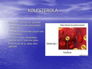 KOLESTEROLA
Kolesterola sortzen da gibelean
endogenoa denean gorputzean
sortzen da.
Sintomak dira bularreko angina edo
infartua dira.
Sendatzen dugu danakoleko
jogurta edo D bitamina jaten.
Prebentzioa da ez jatea asko
gantzak.
 