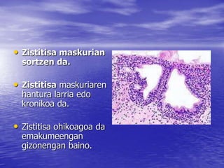 • Zistitisa maskurian
sortzen da.
• Zistitisa maskuriaren
hantura larria edo
kronikoa da.
• Zistitisa ohikoagoa da
emakumeengan
gizonengan baino.
 
