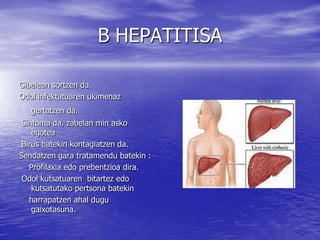Gibelean sortzen da.
Odol infektatuaren ukimenaz
gertatzen da.
Sintoma da, zabelan min asko
egotea
Birus batekin kontagiatzen da.
Sendatzen gara tratamendu batekin :
Profilaxia edo prebentzioa dira.
Odol kutsatuaren bitartez edo
kutsatutako pertsona batekin
harrapatzen ahal dugu
gaixotasuna.
B HEPATITISA
 