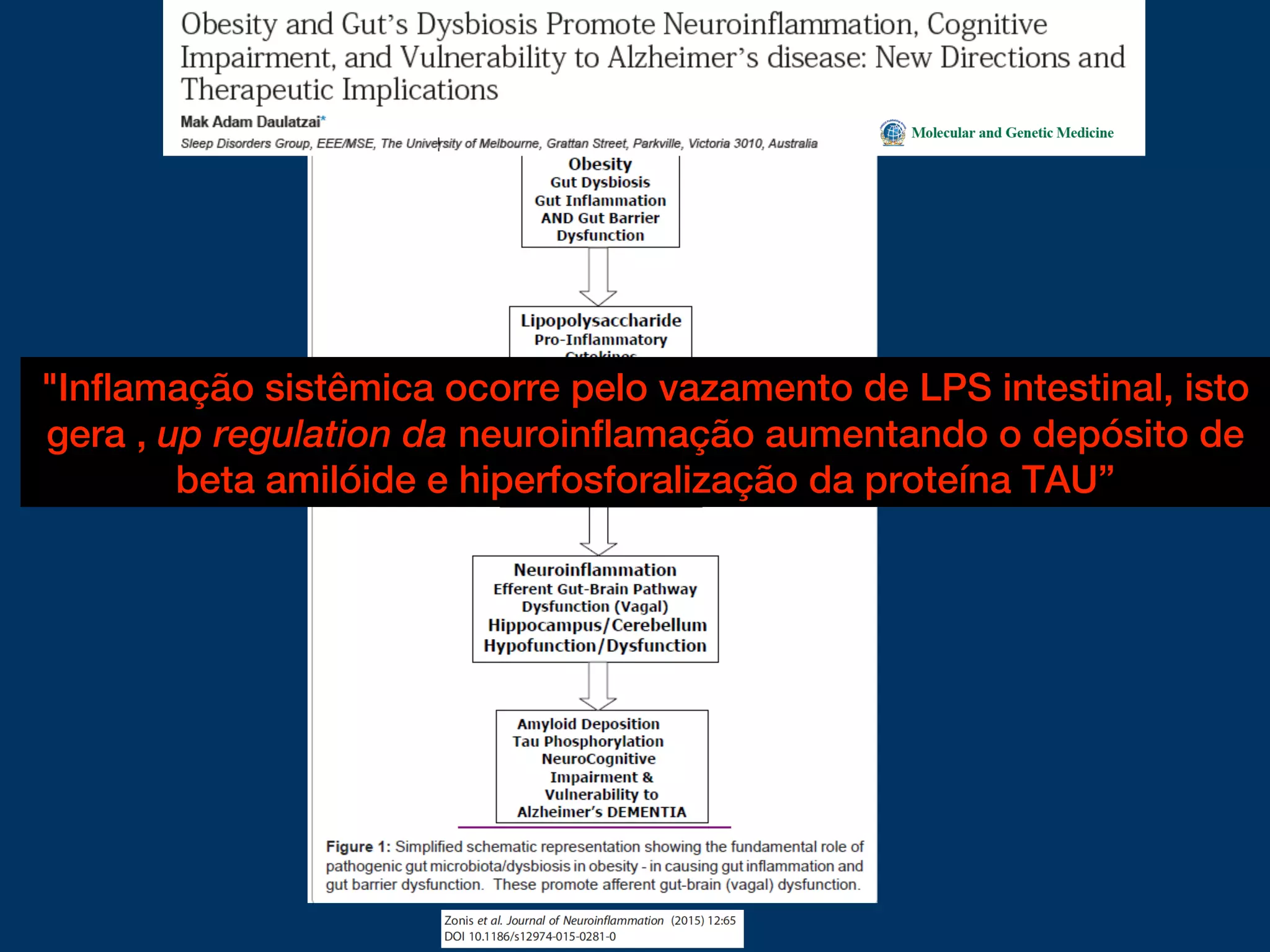 "Inflamação sistêmica ocorre pelo vazamento de LPS intestinal, isto
gera , up regulation da neuroinflamação aumentando o depósito de
beta amilóide e hiperfosforalização da proteína TAU”
 