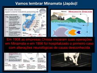 Vamos lembrar Minamata (Japão)!
Em 1908 as empresas Chisso iniciaram suas operações
em Minamata e em 1956 foi hospitalizado o primeiro caso
com alterações neurológicas de causa desconhecida
 