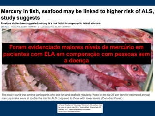 Foram evidenciado maiores níveis de mercúrio em
pacientes com ELA em comparação com pessoas sem
a doença
 