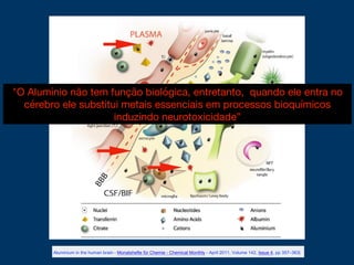 Aluminium in the human brain - Monatshefte für Chemie - Chemical Monthly - April 2011, Volume 142, Issue 4, pp 357–363|
"O Alumínio não tem função biológica, entretanto, quando ele entra no
cérebro ele substitui metais essenciais em processos bioquímicos
induzindo neurotoxicidade”
 
