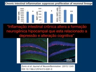 "Inflamação intestinal crônica altera a formação
neurogênica hipocampal que esta relacionado a
depressão e alteração cognitiva”
 