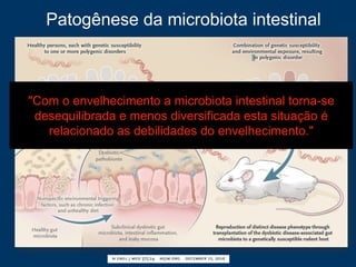 Patogênese da microbiota intestinal
"Com o envelhecimento a microbiota intestinal torna-se
desequilibrada e menos diversificada esta situação é
relacionado as debilidades do envelhecimento."
 