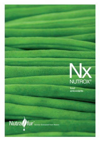 Nutrox Food Antioxidants | PDF