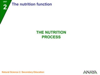 UNIT

2

The nutrition function

THE NUTRITION
PROCESS

Natural Science 2. Secondary Education

 