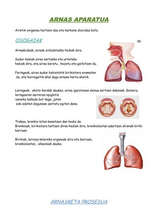 ARNAS APARATUA 
Airetik oxigenoa hartzen dau eta karbono dioxidoa bota. 
OSOGAIAK 
Arnasbideak, aireak zirkulatzeko hodiak dira. 
Sudur hobiak airea sartzeko eta urteteko 
hobiak dira, eta airea berotu , hezotu eta garbitzen du. 
Faringeak, airea sudur hobietatik birikietara eramaten 
du, eta horregaitik ahal dugu arnasa hartu ahotik. 
Laringeak, ahotz-kordak daukaz, airea igarotzean soinua sortzen dabenak. Gainera, 
laringearen sarreran epiglotis 
izeneko balbula bat dago, jaten 
edo edaten dogunean zarratu egiten dana. 
Trakea, bronkio bitan banatzen dan hodia da. 
Bronkioak, birikietara heltzen diran hodiak dira, bronkioloetan adartzen direnak biriki 
barruan. 
Birikiak, larrosa koloreko organoak dira eta barruan, 
bronkioloetan, albeoloak dauka. 
ARNASKETA PROSESUA 
 