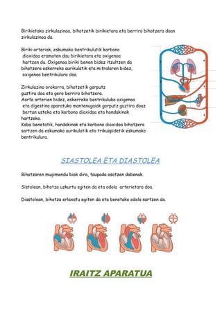 Birikietako zirkulazinoa, bihotzetik birikietara eta berriro bihotzera doan 
zirkulazinoa da. 
Biriki arteriak, eskumako bentrikulutik karbono 
dioxidoa eramaten dau birikietara eta oxigenoa 
hartzen du. Oxigenoa biriki benen bidez itzultzen da 
bihotzera eskerreko aurikulatik eta mitralaren bidez, 
oxigenoa bentrikulura doa. 
Zirkulazino orokorra, bihotzetik gorputz 
guztira doa eta gero berriro bihotzera. 
Aorta arterien bidez, eskerreko bentrikuluko oxigenoa 
eta digestino aparatuko mantenugaiak gorputz guztira doaz 
bertan usteko eta karbono dioxidoa eta hondakinak 
hartzeko. 
Kaba benetatik, hondakinak eta karbono dioxidoa bihotzera 
sartzen da eskumako aurikulatik eta trikuspidetik eskumako 
bentrikulura. 
SIASTOLEA ETA DIASTOLEA 
Bihotzaren mugimendu biak dira, taupada osotzen dabenak. 
Sistolean, bihotza uzkurtu egiten da eta odola arterietara doa. 
Diastolean, bihotza erlaxatu egiten da eta benetako odola sartzen da. 
IRAITZ APARATUA 
 