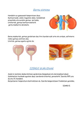 Gernu sistema 
Hondakin ez-gaseosoak kanporatzen dauz. 
Kuntzurrunak, odola iragazten dabe, hondakinak 
erauzteko eta eurekin gernua sortzeko. 
Ureterrak, gernua kuntzurrunetatik 
gernu maskurira daramate. 
Gernu maskuriak, gernua gordetzen dau litro laurden euki arte eta orduan, esfinterra 
irekiz gernua uretrara doa. 
Uretran, gernua egostu egiten da. 
IZERDI GURUINAK 
Azala bi motatan desberdintzen epidermisa (kanpokoa) eta dermisa(barrukoa) 
Substantzia toxikoak egozten dauz izerdiaren bitartez, poroetatik. Izerdia 99% ura 
da eta 1% hondakin. 
Gorputzaren tenperatura kontrolatzen du. Izerdia kanporatzean freskatzen garelako. 
IZARO E. 
 