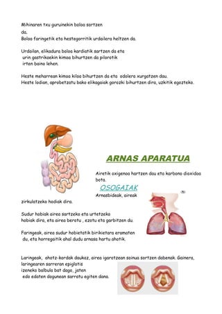 Mihinaren txu guruinekin boloa sortzen 
da. 
Boloa faringetik eta hestegorritik urdailera heltzen da. 
Urdailan, elikadura boloa kardiatik sartzen da eta 
urin gastrikoekin kimoa bihurtzen da pilorotik 
irten baino lehen. 
Heste meharrean kimoa kiloa bihurtzen da eta odolera xurgatzen dau. 
Heste lodian, aprobetzatu bako elikagaiak gorozki bihurtzen dira, uzkitik egozteko. 
ARNAS APARATUA 
Airetik oxigenoa hartzen dau eta karbono dioxidoa 
bota. OSOGAIAK 
Arnasbideak, aireak 
zirkulatzeko hodiak dira. 
Sudur hobiak airea sartzeko eta urtetzeko 
hobiak dira, eta airea berotu , ezotu eta garbitzen du. 
Faringeak, airea sudur hobietatik birikietara eramaten 
du, eta horregaitik ahal dudu arnasa hartu ahotik. 
Laringeak, ahotz-kordak daukaz, airea igarotzean soinua sortzen dabenak. Gainera, 
laringearen sarreran epiglotis 
izeneko balbula bat dago, jaten 
edo edaten dogunean sarratu egiten dana. 
 