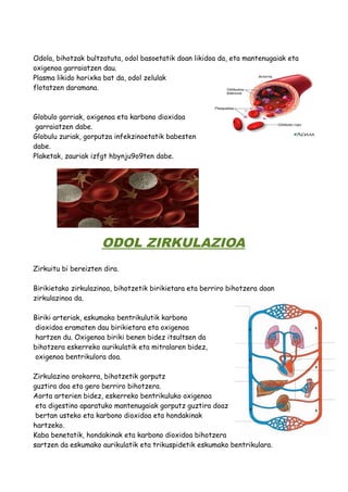 Odola, bihotzak bultzatuta, odol basoetatik doan likidoa da, eta mantenugaiak eta 
oxigenoa garraiatzen dau. 
Plasma likido horixka bat da, odol zelulak 
flotatzen daramana. 
Globulo gorriak, oxigenoa eta karbono dioxidoa 
garraiatzen dabe. 
Globulu zuriak, gorputza infekzinoetatik babesten 
dabe. 
Plaketak, zauriak izfgt hbynju9o9ten dabe. 
ODOL ZIRKULAZIOA 
Zirkuitu bi bereizten dira. 
Birikietako zirkulazinoa, bihotzetik birikietara eta berriro bihotzera doan 
zirkulazinoa da. 
Biriki arteriak, eskumako bentrikulutik karbono 
dioxidoa eramaten dau birikietara eta oxigenoa 
hartzen du. Oxigenoa biriki benen bidez itsultsen da 
bihotzera eskerreko aurikulatik eta mitralaren bidez, 
oxigenoa bentrikulora doa. 
Zirkulazino orokorra, bihotzetik gorputz 
guztira doa eta gero berriro bihotzera. 
Aorta arterien bidez, eskerreko bentrikuluko oxigenoa 
eta digestino aparatuko mantenugaiak gorputz guztira doaz 
bertan usteko eta karbono dioxidoa eta hondakinak 
hartzeko. 
Kaba benetatik, hondakinak eta karbono dioxidoa bihotzera 
sartzen da eskumako aurikulatik eta trikuspidetik eskumako bentrikulara. 
 