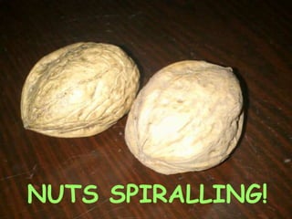NUTS SPIRALLING!
 